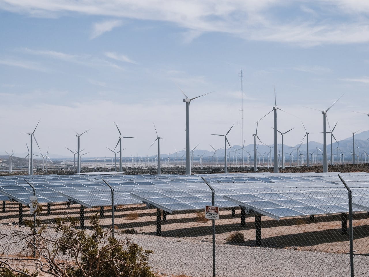 Renewable energy farm